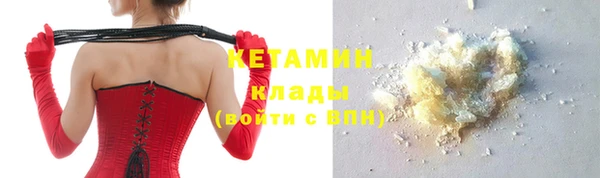 сатива Заволжье
